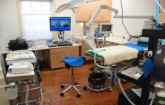 Dental Operatory